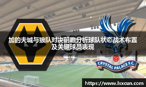 加的夫城与狼队对决前瞻分析球队状态战术布置及关键球员表现